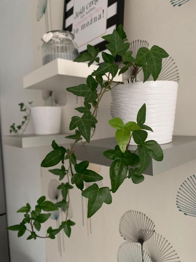 슈체친 Apartament Polonia 아파트 외부 사진